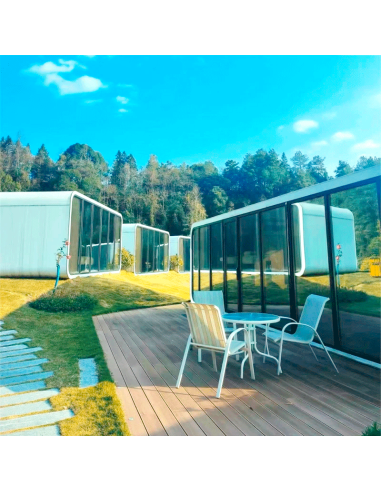 SMARTPHONE PREMIUM 11.6